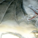 Image for article titled George R.R. Martin to re-release The Ice Dragon, his Game Of Thrones children’s book